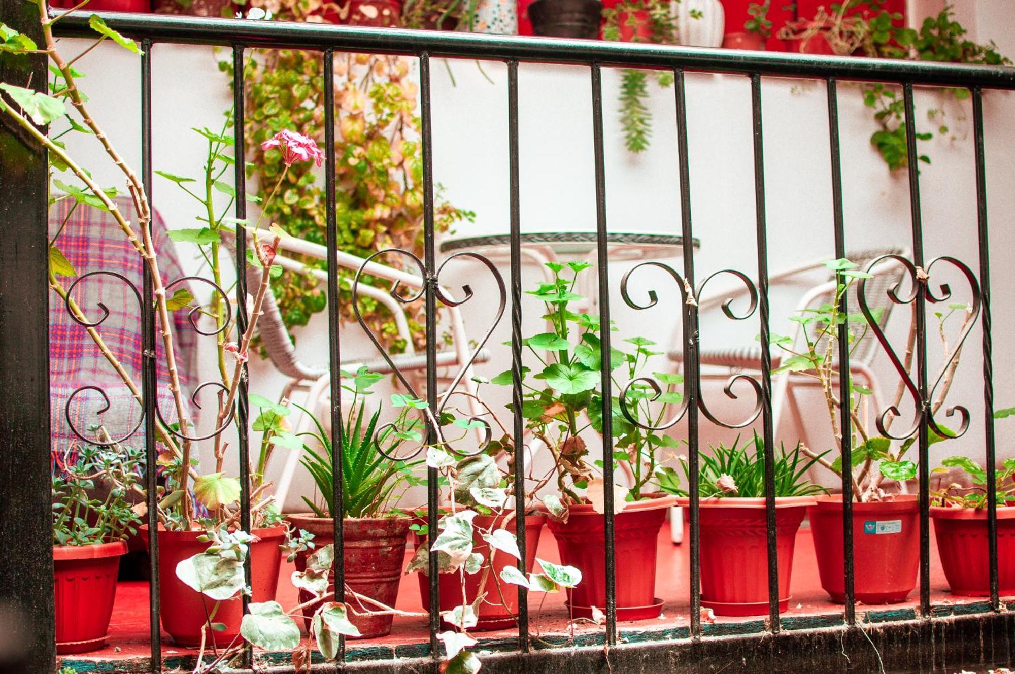 La Casa De Laura - Plaza Hotel กุสโก ภายนอก รูปภาพ
